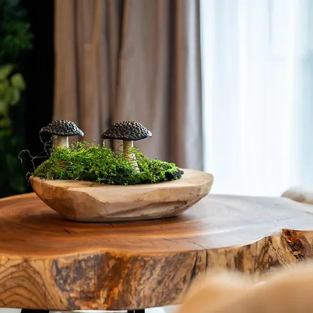 Gorski Eden By Comfort Apartman *