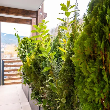 Gorski Eden By Comfort Apartments Apartment Szklarska Poreba